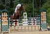 Reiten