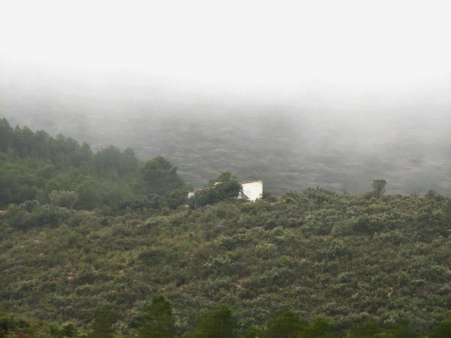 File:Camino al campillo (Gestalgar).jpg