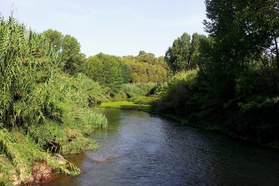 File:Río Albaida por el Paraje Natural de la Cova Negra - Valencia - Spain - panoramio (1).jpg