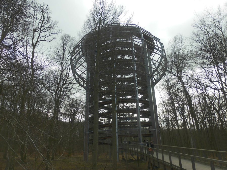 Symbolbild: Baumwipfelpfad auf Rügen, Deutschland