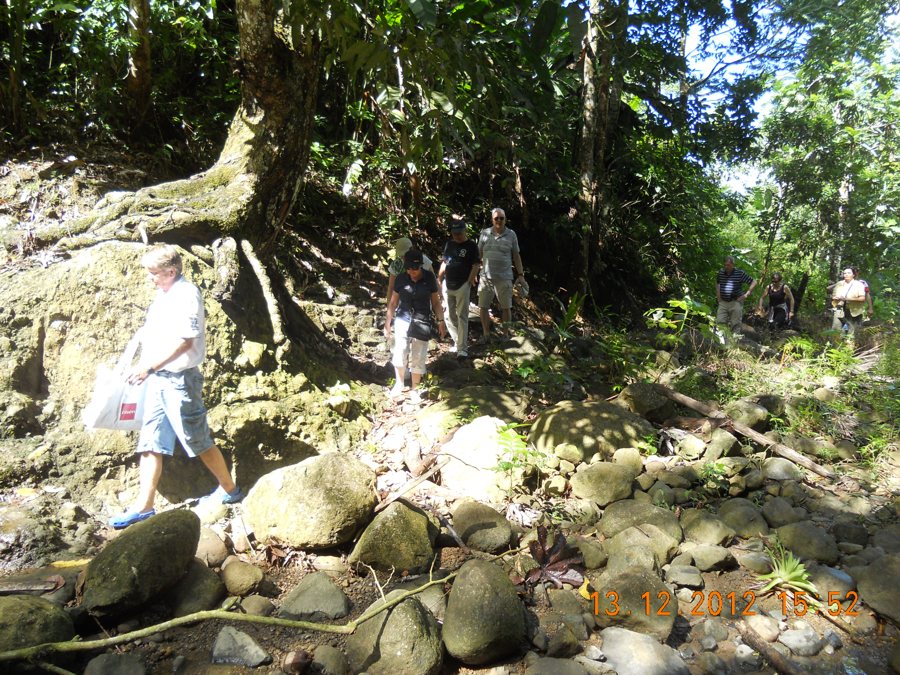 Symbolbild: Wandergruppe auf Waldpfad in St. Lucia