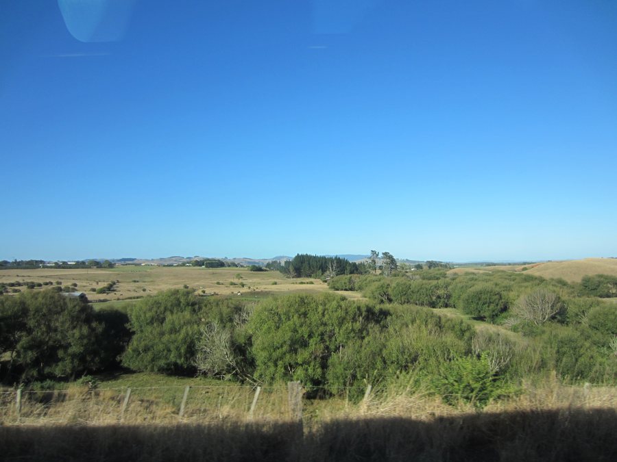Symbolbild: Ländliche Landschaft mit Hofgebäuden auf Waiheke Island, Neuseeland